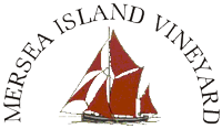 mersea island watersports